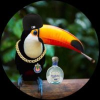 toucanlover26(@vergudo_panwin) 's Twitter Profile Photo