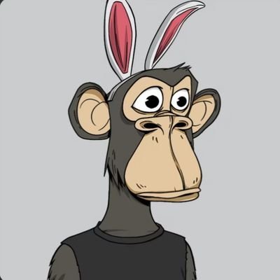 Wizzosun's profile picture. focusing on crypto signal and web3 base functionality and coin trade.