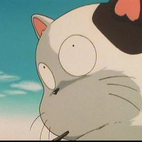 コタツネコ (@kozzy___ma) Twitter profile photo