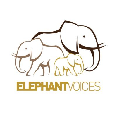 elephantvoices Profile Picture