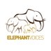 ElephantVoices (@elephantvoices) Twitter profile photo ElephantVoices (@elephantvoices) Twitter profile photo