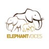 elephantvoices's profile picture. ElephantVoices studies the behaviour and communication of elephants in a changing world, working globally to secure a kinder future for them. 🐘