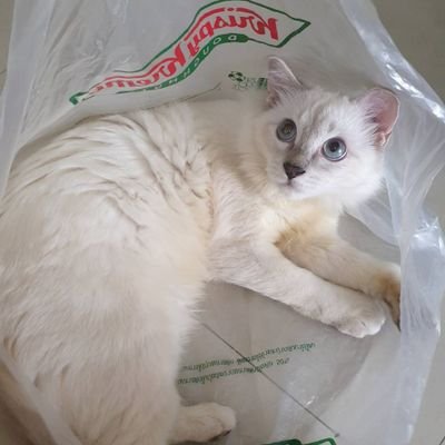 PowerGear56's profile picture. 