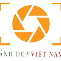 Việt Nam Ảnh Đẹp(@anhdepvietnam) 's Twitter Profile Photo