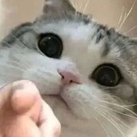 猪猪侠 (@django944150) 's Twitter Profile
