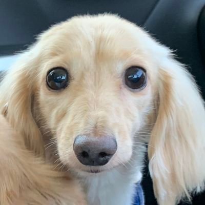 gt777r's profile picture. 自作PCをぼちぼちと改造しております
PCゲームやPC周辺機器・料理、そしてラーメンを愛して止まない釣り人です🎣
OW2・ヴァロラント・APEX弱いですがやってます
最近釣りほとんどしてません！！海眺めてます(白目)
目指せフォロワーさん500人！！
最近オーディオにハマっております👀