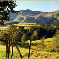 Mikel de Elguezabal (@basques_homes) 's Twitter Profile Photo Mikel de Elguezabal (@basques_homes) 's Twitter Profile Photo