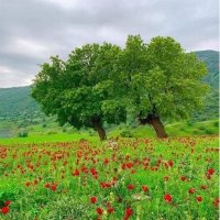 Ashraf ALabadi (@ashrafh06) Twitter profile photo