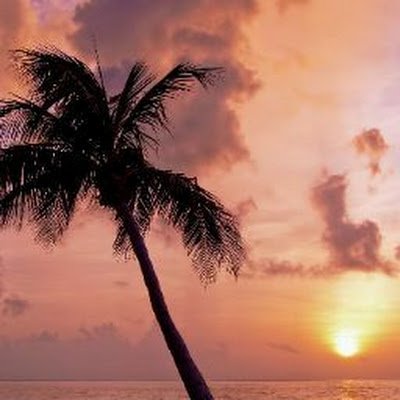 naveenkumardega's profile picture. HI I M naveen , based out of Bangalore basically  from Andhra... working In MNC company...