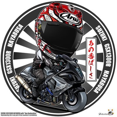 GSX1300R_Z1000 Profile Picture