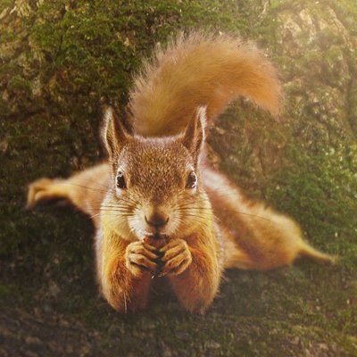 Durfinc's profile picture. Du paprika dans ton slip.