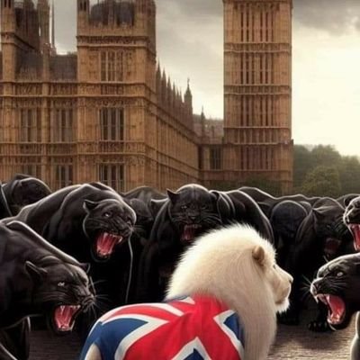 KimBate69994850's profile picture. 