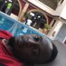 Likeng-Auberge Metayer (@likengauberge) Twitter profile photo Likeng-Auberge Metayer (@likengauberge) Twitter profile photo