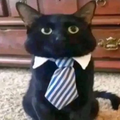 QwertdUp's profile picture. Incel freak