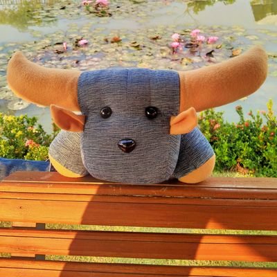 chefotographer's profile picture. ชอบกินส้ม ชอบแมวส้ม รัก🍊🍊🍊🍊🍊