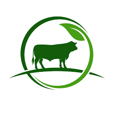 Labudan96's profile picture. 