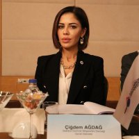 Cigdem Agdag (@cigdemagdag) 's Twitter Profile