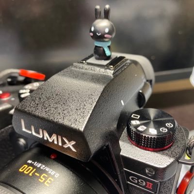 LUMIX G9II で何でも撮りたい