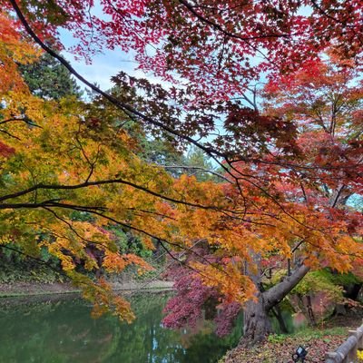 kitkatkm22's profile picture. I joined Twitter for BTS, stayed for all the others.  Love my Sounders too!