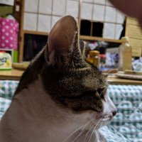 Hahn mike (@hahnmike339340) 's Twitter Profile