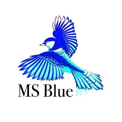 blue_ms49958 Profile Picture