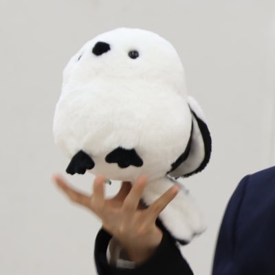 smengHB's profile picture. 🌻🕊 ͗ ͗𓂃🤍🐈‍⬛⸒⸒⸒⸒ #한빈 #오한빈 #템페스트 #TEMPEST