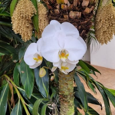 maria8200a's profile picture. anteam❤️🪃/✖️🔝✖️🧘‍♀️✖️⚽️