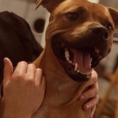 Jex57's profile picture. 