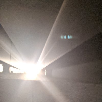 rrOVXC3jVFSmByS's profile picture. 