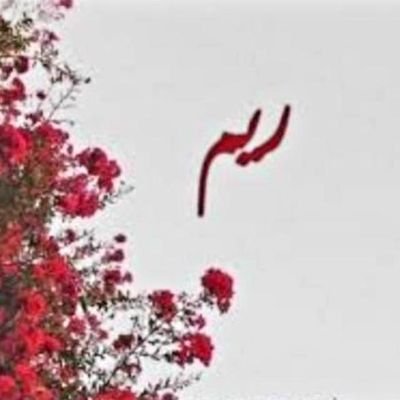 فنانة تشكيلية .عضوة في جسفت و في نادي سعودي ارت و جمعية الثقافةو الفنون و نادي فن و فنانين .جميع اعمالي متاحة للاقتناء ( للبيع) للتواصل واتس: ٠٥٣١٠٠٠٨٤٣