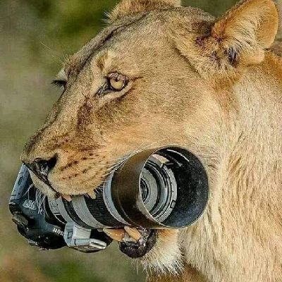 Oil and Gas Consultant.
Crypto Enthusiast.
Political Activist.