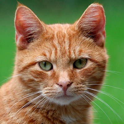 Jackmanusa's profile picture. 🇺🇸