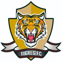 Tigres Fútbol Club(@TigresCol) 's Twitter Profileg