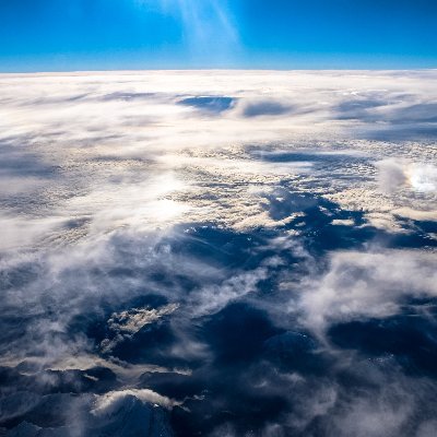 william_tocque's profile picture. 