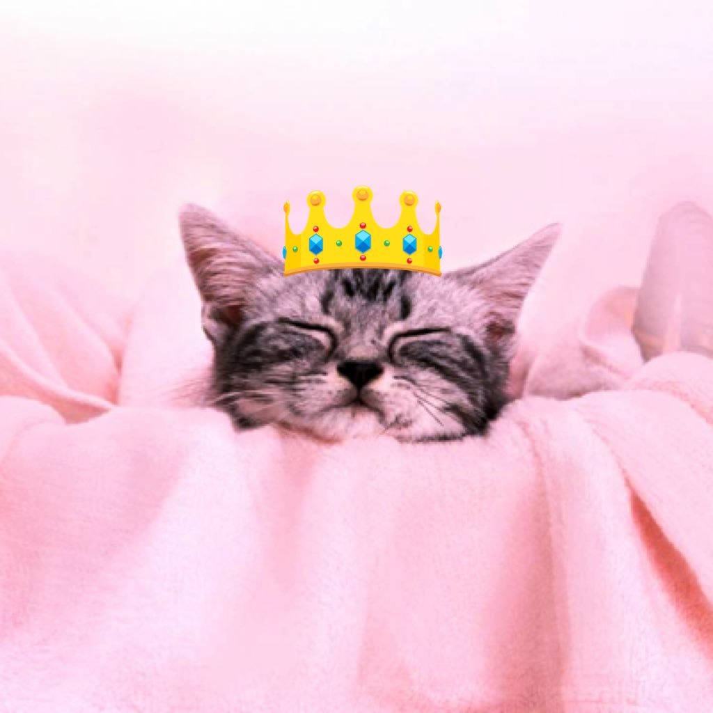 kijima_kotaro's profile picture. 2X World Records 👑 | 🇯🇵15 | @SRJunkie2011 | @REON1993kids | @Connect_TTF 育成メンバー