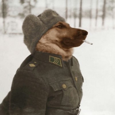 JulkaBigKulka Profile Picture