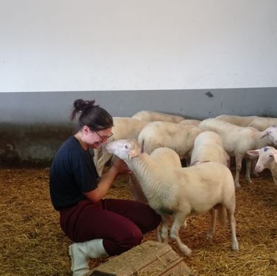 Biologist and ethologist.
Animal welfare researcher for sheep🐑, PhD student at the department of Vet Science in Turin.