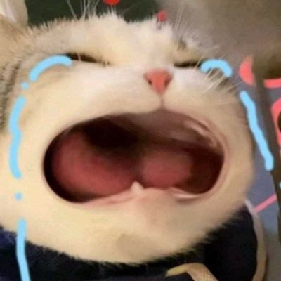 tifalaiza's profile picture. psychometrishan