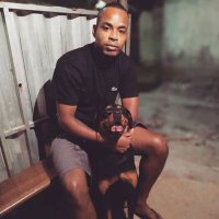 Daniel Lima (@dllima3) 's Twitter Profile