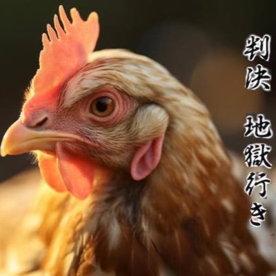 自由気ままなしがない🐔です。 Fortnite、スマブラ、スプラ、FGO＋α色んなゲームやってます。どうぞよろしく。