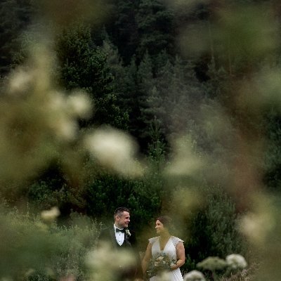 hughmchugh's profile picture. 