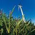 Pines Burn Wind Farm (@pinesburnwind) Twitter profile photo Pines Burn Wind Farm (@pinesburnwind) Twitter profile photo