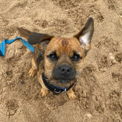 JimJam_3's profile picture. 