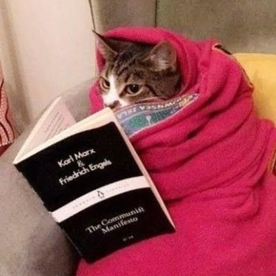 zolpidenia's profile picture. pinto cu bosta mijo