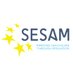 SESAM (@SESAMSimulation) Twitter profile photo