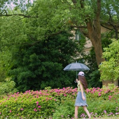 xiaoniaofo's profile picture. 寻找一个魂飞梦绕的地方。Find a place where souls fly around.