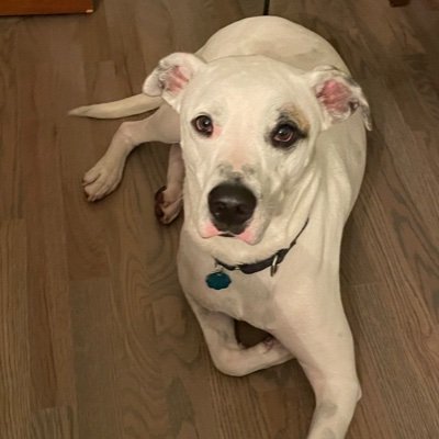 avap927's profile picture. 