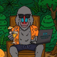 SingeCapital (@singecapital) 's Twitter Profile