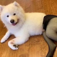 Milky Please (@plsgivemedik) 's Twitter Profile