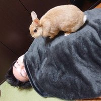 h i d e 兎 (@hideusagi0114) 's Twitter Profile